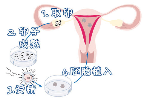周医生